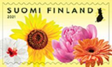 Bright Garden Flowers