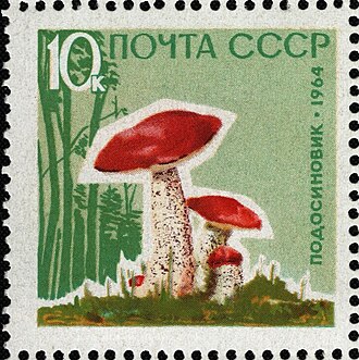 Red-Capped Mushrooms