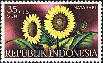 Sunflowers with Foliage