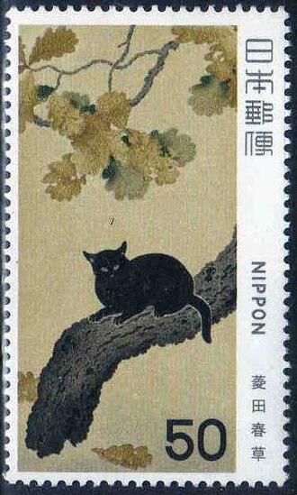 Black Cat on Branch