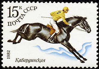 Jockey on Black Horse