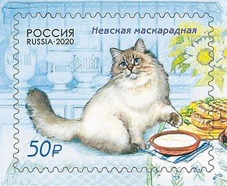 Cat at Dinner Table