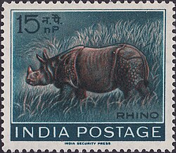 Indian Rhinoceros