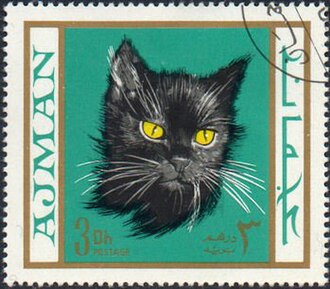 Portrait of Black Cat