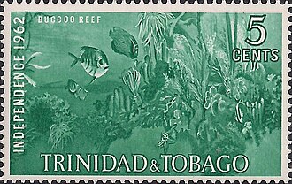 Buccoo Reef Fish