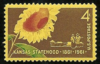 Kansas Sunflower Bloom