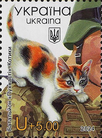 Kitten on Soldier
