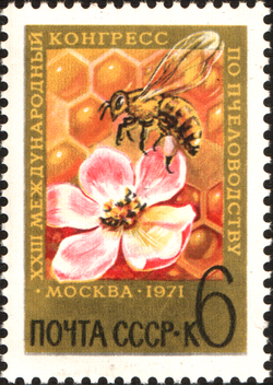 Honey Bee