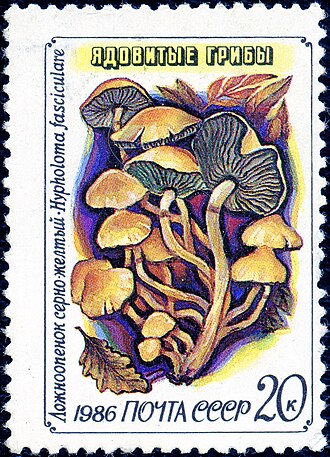 Sulfur Tuft Mushrooms