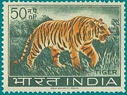 Bengal Tiger