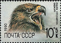 Eagle