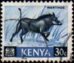 Warthog