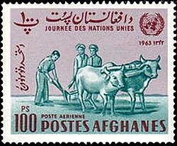 Ox