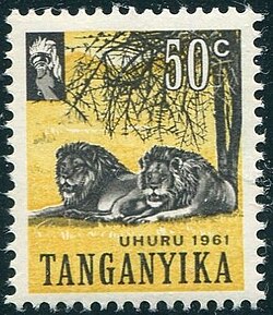 Lion