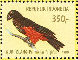 Parrot