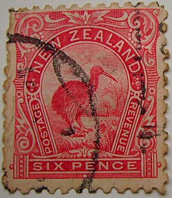 Kiwi